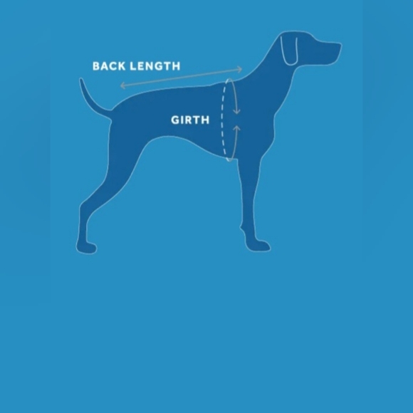 RC Pets jacket 30" - Picture 2 of 8